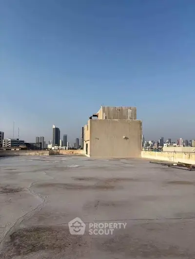 Expansive rooftop with city skyline views, ideal for urban living enhancements.