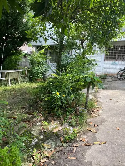 Charming garden view with lush greenery and outdoor seating in a serene residential setting.