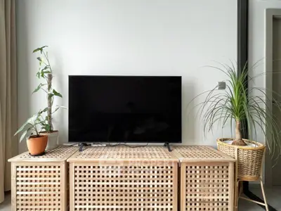 Modern living room with stylish TV stand and indoor plants