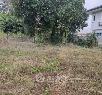 image_rental-31601221