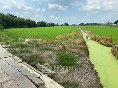 image_rental-29225846