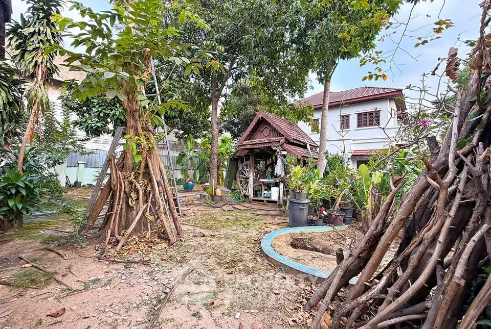 Charming garden with lush greenery and traditional wooden gazebo in a serene residential backyard.