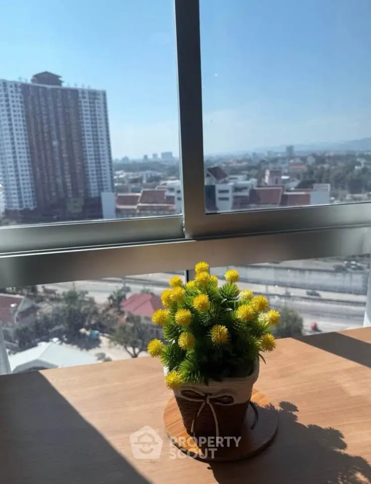 Bright city view from modern apartment with decorative plant on table.