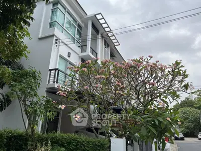 image_rental-30740078