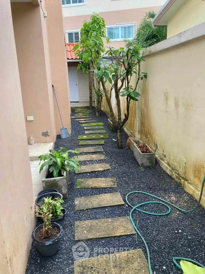 Charming garden pathway with potted plants and stepping stones in a cozy backyard setting.