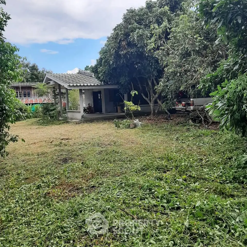 Charming garden view with lush greenery and cozy outdoor seating area.