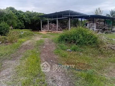 Spacious outdoor area with covered storage and lush greenery, ideal for versatile real estate opportunities.