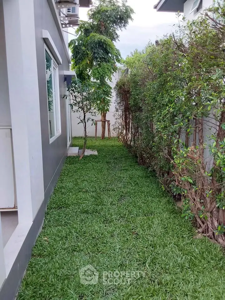 Charming side garden with lush greenery and modern exterior, perfect for relaxation and outdoor enjoyment.