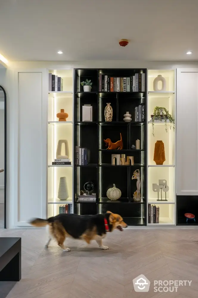 Modern living room with stylish shelving and decorative items, featuring a dog walking on wooden flooring.