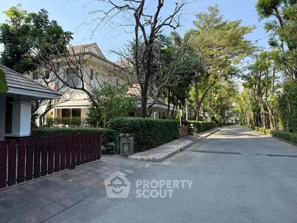 Charming suburban street with lush greenery and elegant homes, perfect for tranquil living.