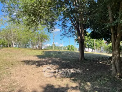Spacious land plot with lush trees, perfect for development or investment opportunities.