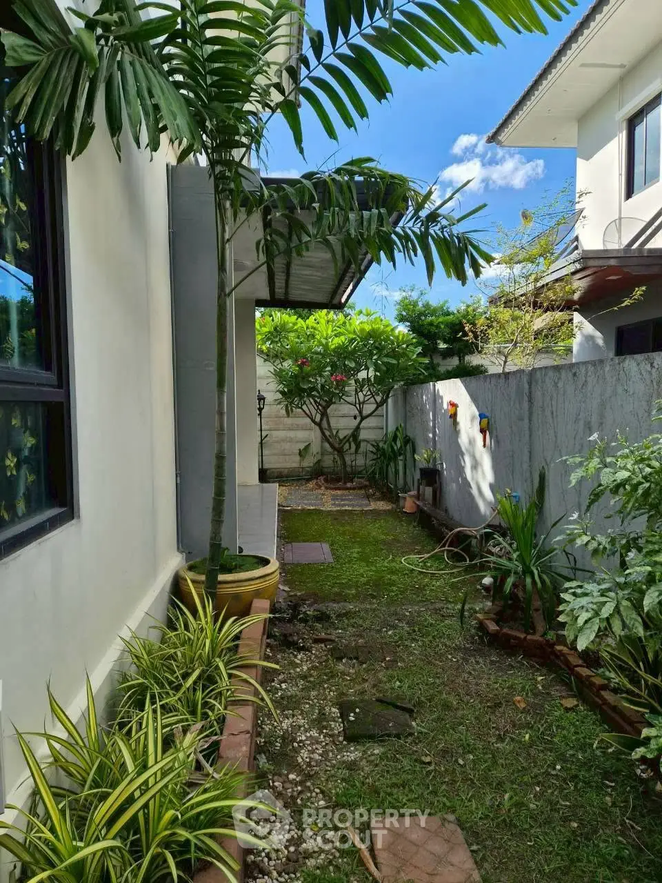 Charming garden view beside modern house with lush greenery and blue sky