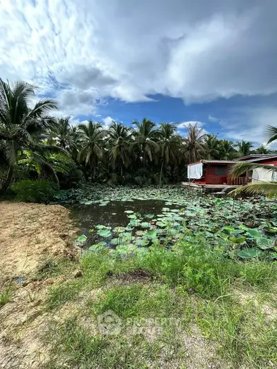 Tropical property with lush palm trees and serene lotus pond, perfect for nature lovers seeking tranquility.