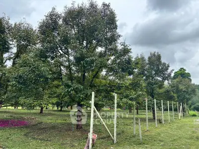 image_rental-27237143