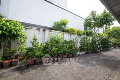 Spacious garden area with potted plants and trees, ideal for outdoor relaxation.
