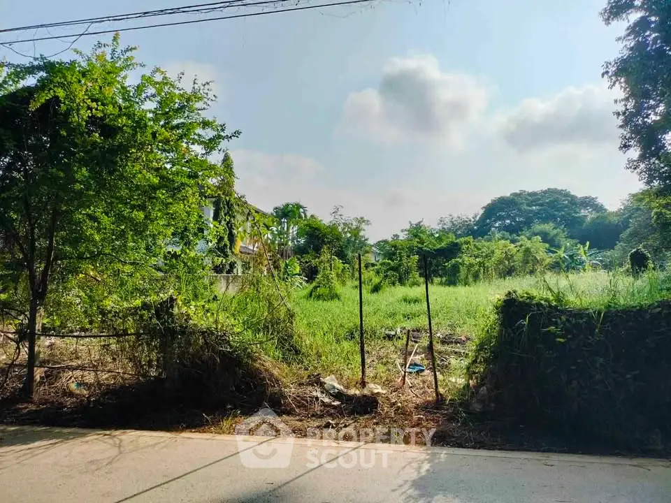Spacious green land plot with lush vegetation ideal for development opportunities.