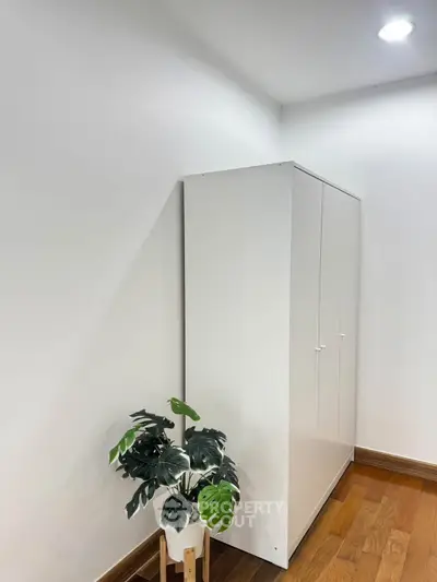 Minimalist corner with white wardrobe and potted plant on wooden floor