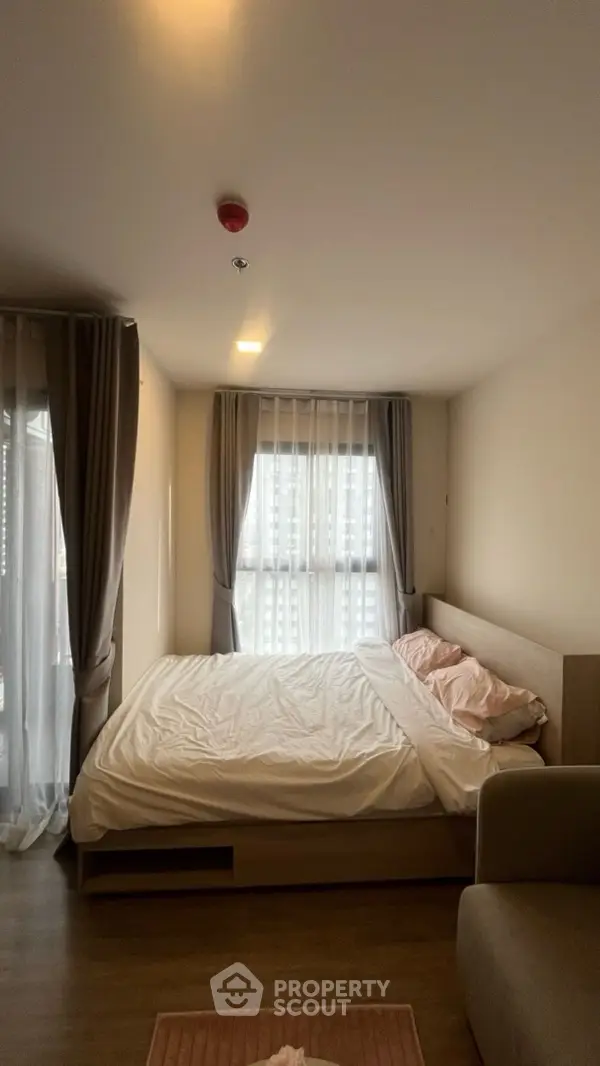 image_rental-27036267