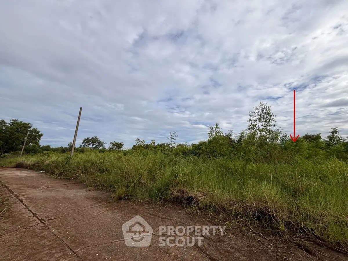 Expansive land plot with lush greenery and open sky, ideal for development.