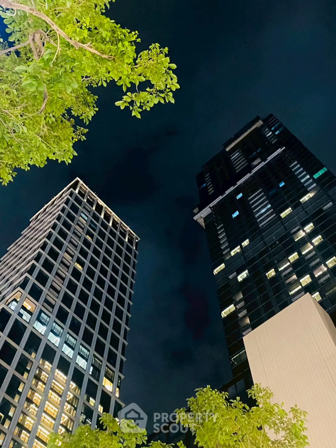 Stunning night view of modern high-rise buildings with illuminated windows and lush greenery.