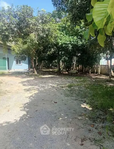 Charming garden area with lush trees and a serene pathway, perfect for outdoor relaxation.