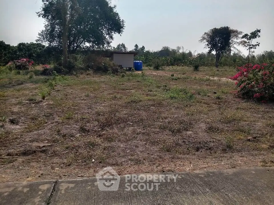 Spacious vacant land plot with potential for development, surrounded by greenery and natural beauty.