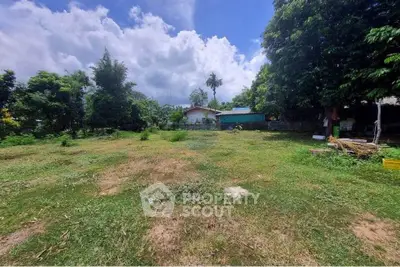 Spacious green land with trees and a small house under a bright blue sky.