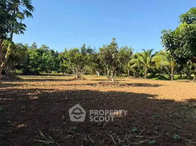 Expansive agricultural land with lush trees and clear blue sky, perfect for farming or development.