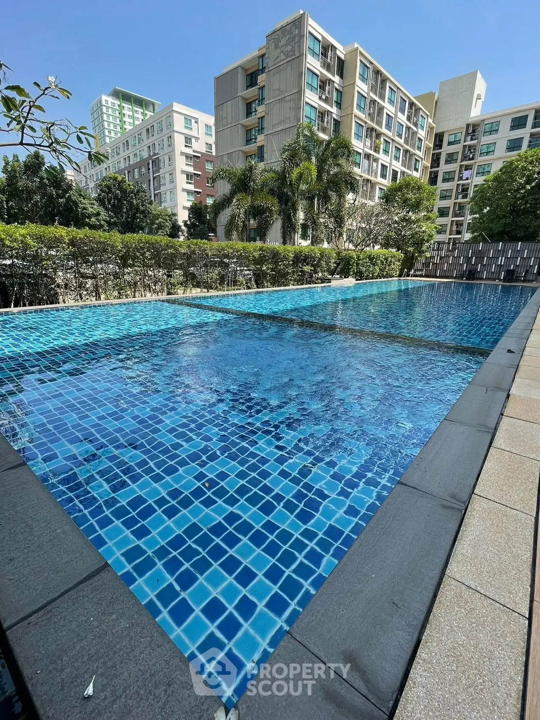 Luxurious residential pool with modern building backdrop and lush greenery.