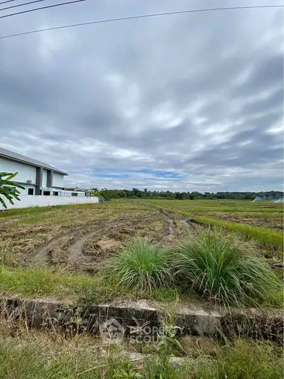 image_rental-27632297