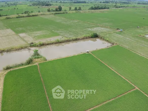 image_rental-26264621