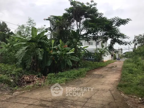 image_rental-16570456