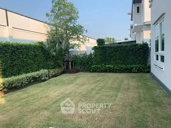 Spacious backyard garden with lush greenery and modern white house exterior.