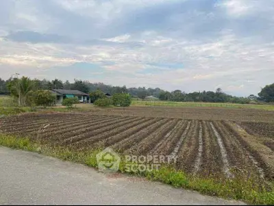 Expansive farmland with a rural house under a vast sky, perfect for agricultural investment.