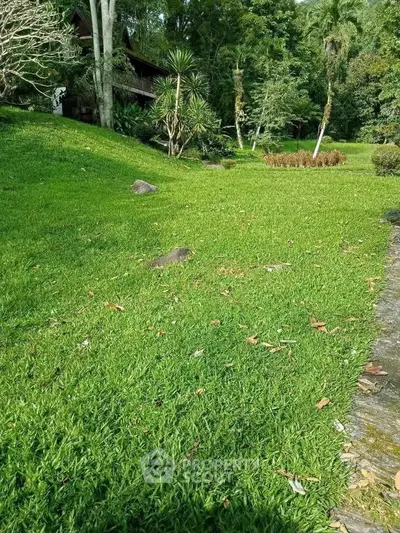 image_rental-29538003