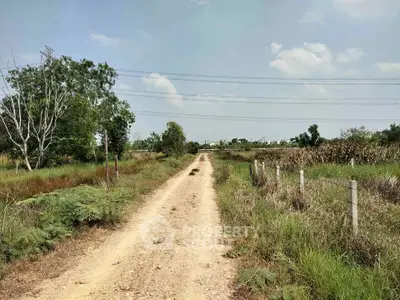 image_rental-31629941