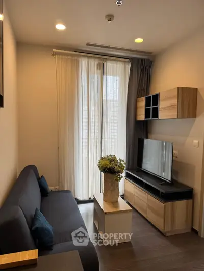 image_rental-29428291