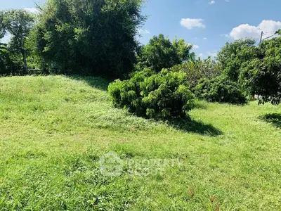 Lush green land plot with trees under a clear blue sky, perfect for development.