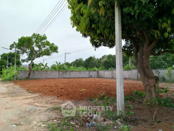 image_rental-22524725