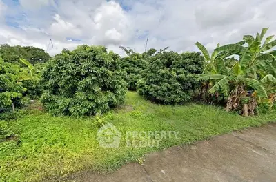 image_rental-29696439