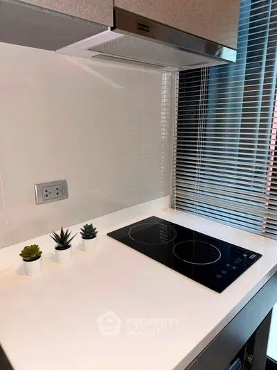 Modern kitchen with sleek induction cooktop and stylish decor