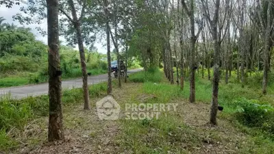 Lush green land with trees ideal for development or agriculture, offering serene natural surroundings.