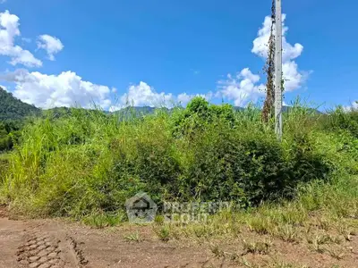 Scenic land plot with lush greenery and mountain views, ideal for development.