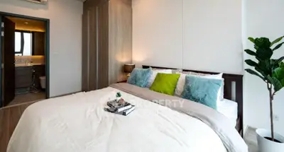 Screenshot 2568-11-19 at 16.43.51.jpg