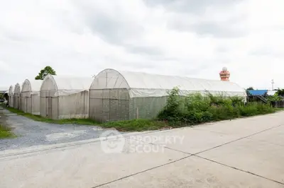 Spacious agricultural greenhouses with durable structures in a serene environment.