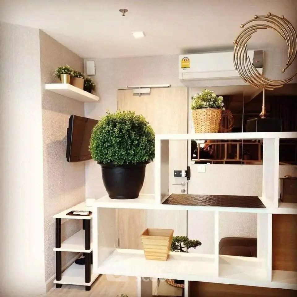Modern living room with stylish shelving and indoor plants, featuring a wall-mounted TV and air conditioning unit.