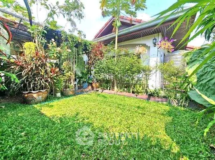 Charming garden view with lush greenery and vibrant plants in a cozy residential backyard.