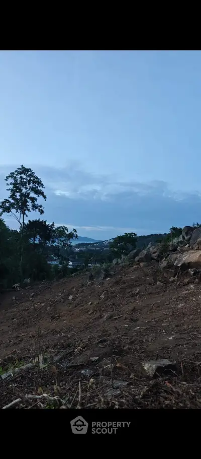 image_rental-30370449