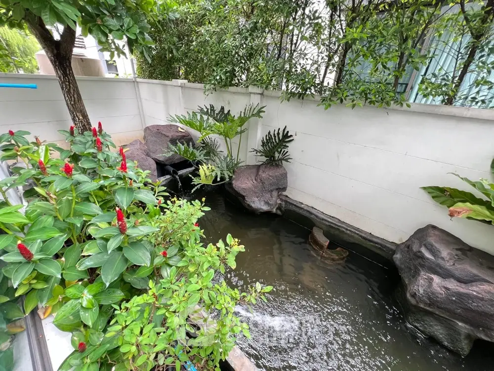 Serene garden with lush greenery and tranquil water feature in modern property