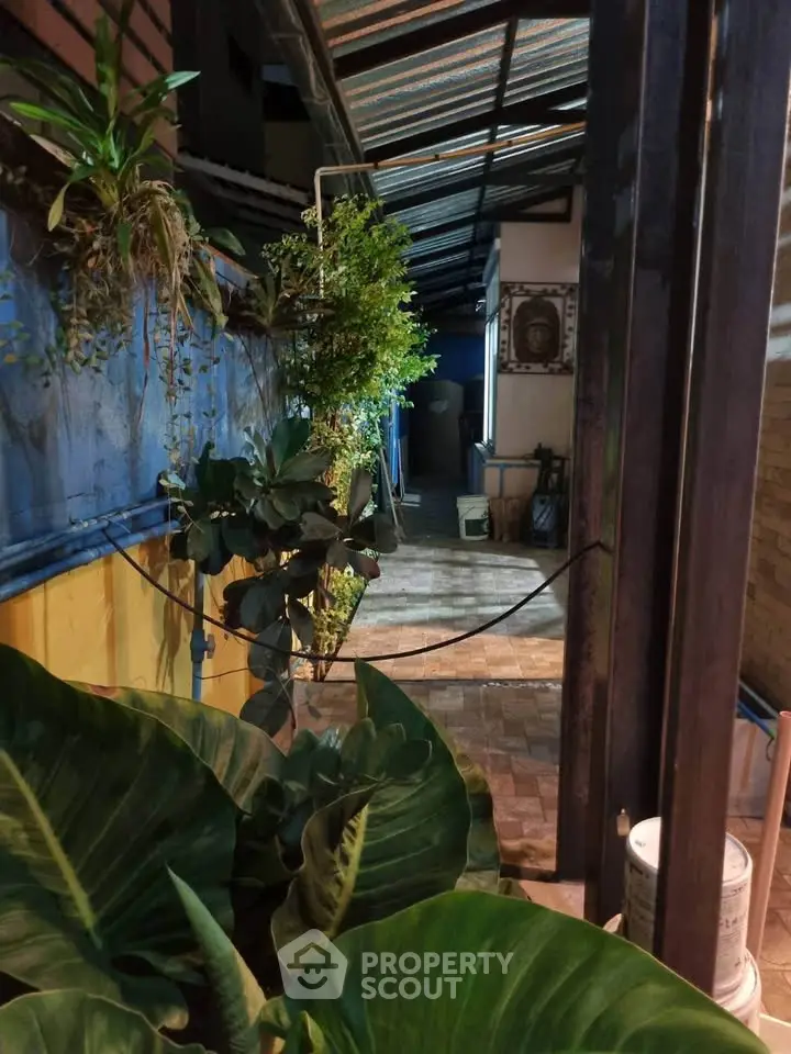 Charming garden pathway with lush greenery and rustic decor